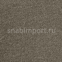 Ковровое покрытие Radici Pietro Bari AVENA 1303 Серый — купить в Москве в интернет-магазине Snabimport