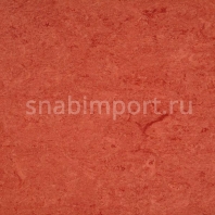 Натуральный линолеум Armstrong Marmorette LPX 121-008 (3,2 мм) — купить в Москве в интернет-магазине Snabimport
