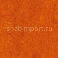 Натуральный линолеум Armstrong Marmorette LPX 121-117 (3,2 мм) — купить в Москве в интернет-магазине Snabimport