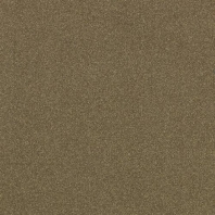 Ковровая плитка Mannington Basic Tee 83823 коричневый