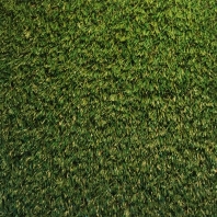 Искусственная трава Betap-Pinto зеленый