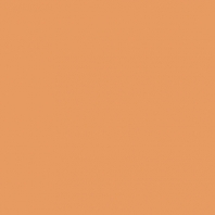 Грунт Oikos Blankor-EX1420 оранжевый — купить в Москве в интернет-магазине Snabimport