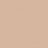 Грунт Oikos Blankor-EX1850 коричневый — купить в Москве в интернет-магазине Snabimport