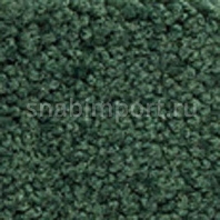 Ковровое покрытие Girloon Body 1 471 зеленый — купить в Москве в интернет-магазине Snabimport