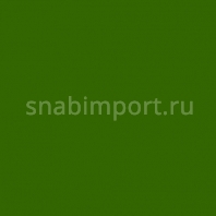 Сценическая краска Rosco Off Broadway 5365 Chroмe Oxide Green, 0,473 л зеленый — купить в Москве в интернет-магазине Snabimport