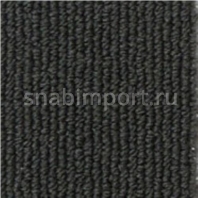 Ковровое покрытие Infloor CAMPUS 565 — купить в Москве в интернет-магазине Snabimport