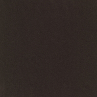Ковровое покрытие Tapibel Casa-24831 чёрный