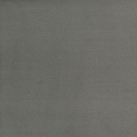 Ковровое покрытие Tapibel Casa-24846 Серый
