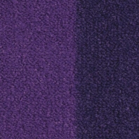 Ковровое покрытие Balsan Casual 860 Фиолетовый — купить в Москве в интернет-магазине Snabimport
