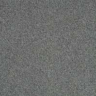 Ковровая плитка Mannington Allegiant Centerfield 20-12003 Серый
