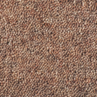 Ковровое покрытие Ultima Twists Collection Chestnut коричневый