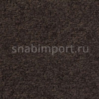 Ковровое покрытие Infloor Chiffon 770 — купить в Москве в интернет-магазине Snabimport