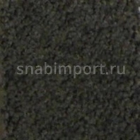 Ковровое покрытие Infloor Chiffon-S 695 — купить в Москве в интернет-магазине Snabimport