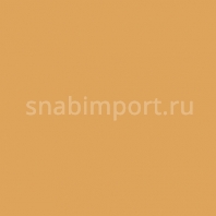 Светофильтр Rosco Cinegel 3407 желтый — купить в Москве в интернет-магазине Snabimport