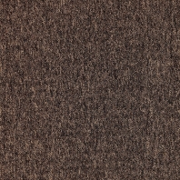 Ковровое покрытие Tapibel Cobalt-42331 коричневый