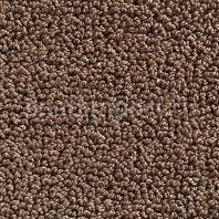Ковровое покрытие Carpet Concept Concept 502 147 коричневый — купить в Москве в интернет-магазине Snabimport