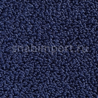 Ковровое покрытие Carpet Concept Concept 502 417 синий — купить в Москве в интернет-магазине Snabimport