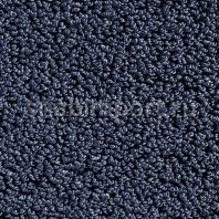 Ковровое покрытие Carpet Concept Concept 502 429 черный — купить в Москве в интернет-магазине Snabimport