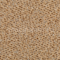 Ковровое покрытие Carpet Concept Concept 503 119 коричневый