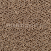 Ковровое покрытие Carpet Concept Concept 503 136 коричневый — купить в Москве в интернет-магазине Snabimport