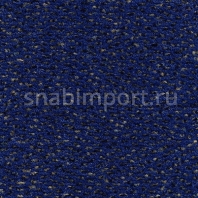 Ковровое покрытие Carpet Concept Concept 503 424 синий — купить в Москве в интернет-магазине Snabimport