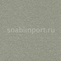 Ковровое покрытие AW CONFIDENCE 27 Серый — купить в Москве в интернет-магазине Snabimport