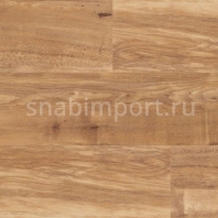 Противоскользящий линолеум Polyflor Expona Control Wood PUR 6502 Nut Tree — купить в Москве в интернет-магазине Snabimport
