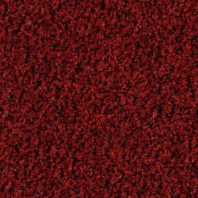 Грязезащитные покрытия Forbo Coral Brush 5723 Красный — купить в Москве в интернет-магазине Snabimport