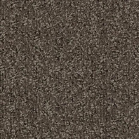 Грязезащитные покрытия Forbo Coral Classic 4764 Серый