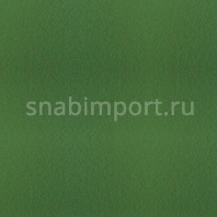 Акриловое покрытие для тенисныхх кортов типа хард EPI Court Advantage-napier зеленый — купить в Москве в интернет-магазине Snabimport