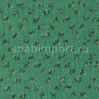 Ковровое покрытие Infloor Credo-S 699 — купить в Москве в интернет-магазине Snabimport
