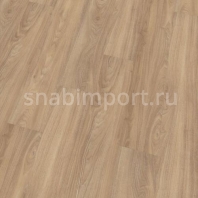 Виниловый ламинат Wineo Ambra wood Grey Canadian Oak DEI54615AMW коричневый — купить в Москве в интернет-магазине Snabimport