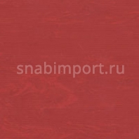 Транспортный линолеум для речного транспорта Tarkett Horizon Depot 001 Красный — купить в Москве в интернет-магазине Snabimport