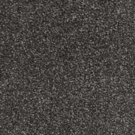 Ковровое покрытие AW DESIRE 98 чёрный — купить в Москве в интернет-магазине Snabimport
