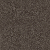 Ковровое покрытие Tapibel Diplomat-58524 Серый