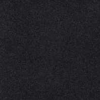 Ковровое покрытие Tapibel Diplomat-58550 чёрный