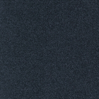 Ковровое покрытие Tapibel Diplomat-58560 чёрный