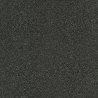 Ковровое покрытие Tapibel Diplomat-58561 чёрный
