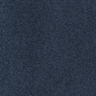 Ковровое покрытие Tapibel Diplomat-58562 синий