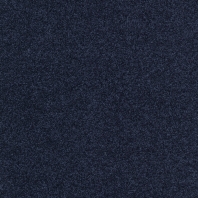 Ковровое покрытие Tapibel Diplomat-58564 синий