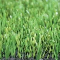 Искусственная трава для игры в регби Domo Varioslide S pro 65 зеленый