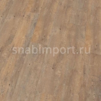Виниловый ламинат Wineo Ambra wood Boston Pine Cream DPI71717AMW коричневый — купить в Москве в интернет-магазине Snabimport