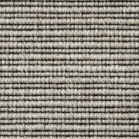 Ковровое покрытие Carpet Concept Eco 2 67151 Серый — купить в Москве в интернет-магазине Snabimport