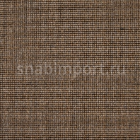 Ковровое покрытие Carpet Concept Eco 500 6952 коричневый — купить в Москве в интернет-магазине Snabimport