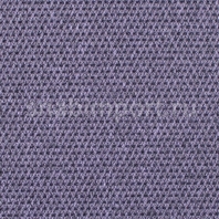 Ковровое покрытие Carpet Concept Eco Tec 0280008 09176 Фиолетовый — купить в Москве в интернет-магазине Snabimport