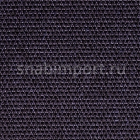 Ковровое покрытие Carpet Concept Eco Tec 0280008 20635 Фиолетовый — купить в Москве в интернет-магазине Snabimport