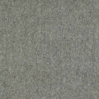 Ковровое покрытие ITC NLF Eco-Velvet-14187 Stone