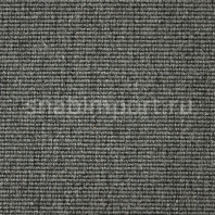 Ковровое покрытие Carpet Concept Eco Wool 595014 Серый — купить в Москве в интернет-магазине Snabimport