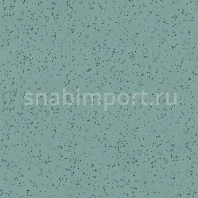 Противоскользящий линолеум Polyflor Polysafe Ecomax 4628 Apple Mint — купить в Москве в интернет-магазине Snabimport