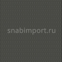 Ковровое покрытие Ege Metropolitan RF5295146 серый — купить в Москве в интернет-магазине Snabimport